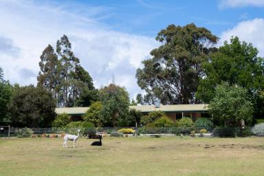 Farm Sold - TAS - Exeter - 7275 - Peace and Quiet  (Image 2)