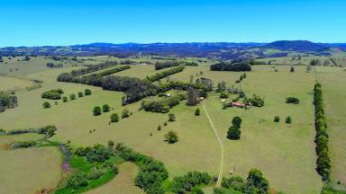 Farm Sold - NSW - Dorrigo - 2453 - Widely regarded as one of the best in Dorrigo  (Image 2)