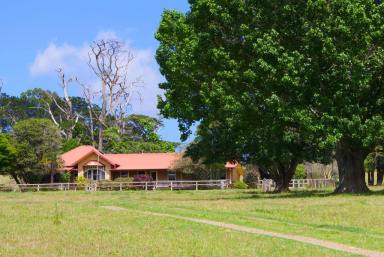 Farm Sold - NSW - Dorrigo - 2453 - Widely regarded as one of the best in Dorrigo  (Image 2)