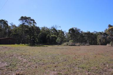 Farm Sold - QLD - Dunmora - 4650 - Life Amongst the Gum Trees  (Image 2)