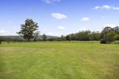 Farm Sold - NSW - Bucca - 2450 - Escape the City to Country Living!!  (Image 2)