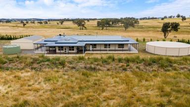 Farm Sold - NSW - Goulburn - 2580 - Large Home on Good Grazing Land  (Image 2)