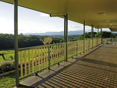 Farm For Sale - QLD - Yungaburra - 4884 - 135 Acres On Top of the World  (Image 2)