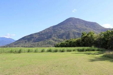 Farm Sold - QLD - Aloomba - 4871 - Lifestyle with Income 116 Acres  (Image 2)