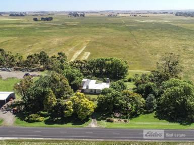 Farm Sold - SA - Millicent - 5280 - Large Family Home on 7 Acres  (Image 2)
