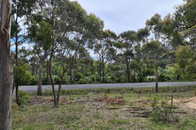 Farm Sold - TAS - White Beach - 7184 - If you're thinking about a coastal getaway look no further, here is your opportunity to secure three new prime allotments.  (Image 2)