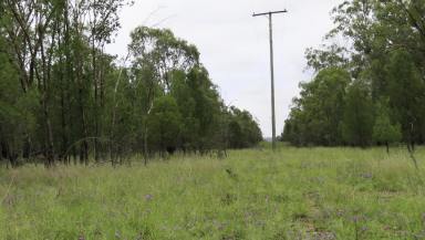 Farm Sold - QLD - Millmerran - 4357 - Country Lifestyle Retreat  (Image 2)