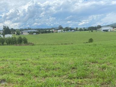 Farm Sold - NSW - Gloucester - 2422 - RURAL RESIDENTIAL 5918M2 - 1.5 Acs  (Image 2)