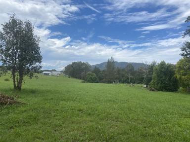 Farm Sold - NSW - Gloucester - 2422 - River Frontage Rural Residential 1.070ha  (Image 2)