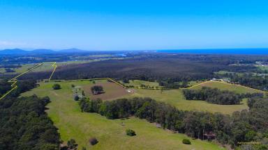 Farm Sold - NSW - Macksville - 2447 - Productive, Well Improved Farm on the Nambucca River, Close to Town and the Beach with Subdivision Opportunity  (Image 2)