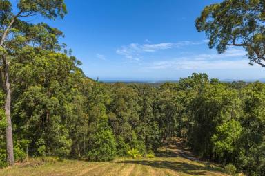 Farm Sold - NSW - Valla - 2448 - Ocean Views on 6.5 Acres  (Image 2)