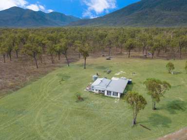 Farm Sold - QLD - Majors Creek - 4816 - SOLD By Allison Gough & Jake Austin  (Image 2)