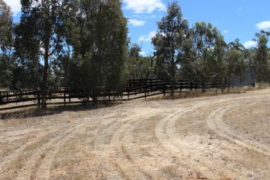 Farm Sold - SA - Lameroo - 5302 - HEALTHY GRAZING & GREAT PLACE TO WORK, UNWIND & RELAX "THE BLOCK"  (Image 2)