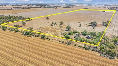 Farm Sold - VIC - Diggora - 3561 - Auction - Prime Diggora Land  SOLD  (Image 2)