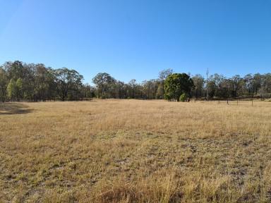 Farm Sold - QLD - Ellesmere - 4610 - 2 ha Rural Building Block  (Image 2)