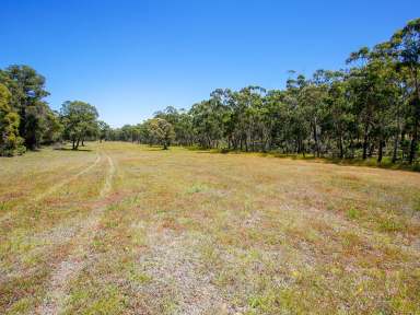 Farm Sold - NSW - Wingello - 2579 - Rural Lifestyle Opportunity  (Image 2)