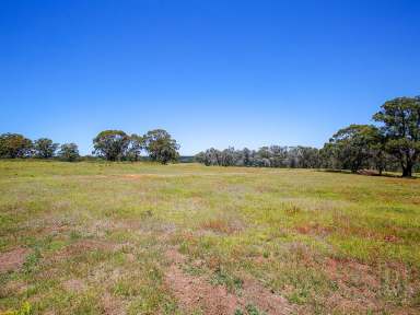 Farm Sold - NSW - Wingello - 2579 - Rural Lifestyle Opportunity  (Image 2)