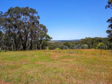 Farm Sold - NSW - Wingello - 2579 - Rural Retreat  (Image 2)