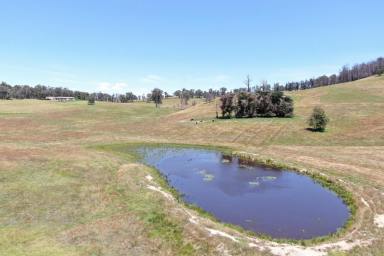 Farm Sold - VIC - Wiseleigh - 3885 - Rural Views & Large Dam 9.9 acres.  (Image 2)