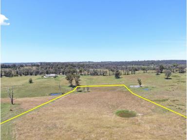 Farm Sold - VIC - Wiseleigh - 3885 - Magnificent Views over Bruthen Flats  (Image 2)
