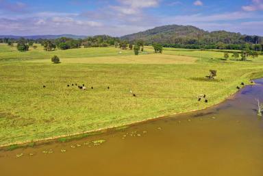 Farm Sold - NSW - Nabiac - 2312 - Lifestyle Acres – Close to Nabiac  (Image 2)