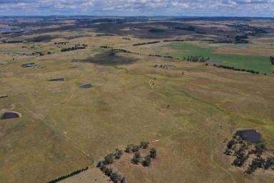 Farm Sold - NSW - Goulburn - 2580 - 100 Superb Acres  (Image 2)