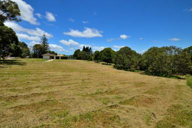 Farm Sold - QLD - Maleny - 4552 - POSITION, ALL USABLE, GREAT VIEWS  (Image 2)