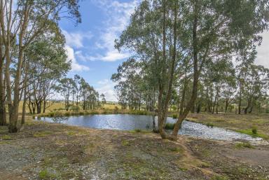 Farm Sold - NSW - Goulburn - 2580 - LIFESTYLE AND LOCATION   (Image 2)