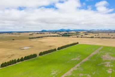 Farm Sold - VIC - Woodhouse - 3294 - Strong Country - Secure Investment  (Image 2)