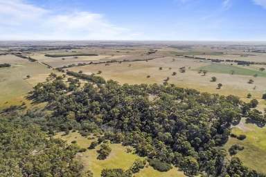 Farm Sold - VIC - Corindhap - 3352 - Picturesque 20 Acre Allotment!  (Image 2)