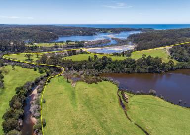 Farm Sold - NSW - Cuttagee - 2546 - Clearwater Farm ...                           
Stunning Eco Waterfront Living  (Image 2)