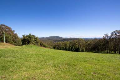 Farm Sold - NSW - Dorrigo - 2453 - Private Not Isolated, 10* Minutes to Dorrigo.  (Image 2)