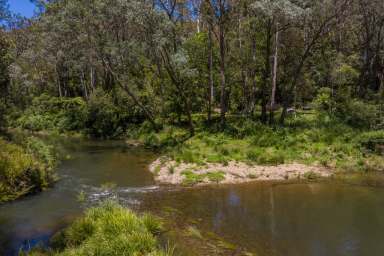 Farm Sold - NSW - Dorrigo - 2453 - Private Not Isolated, 10* Minutes to Dorrigo.  (Image 2)