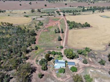 Farm Sold - NSW - Ardlethan - 2665 - "COO-I-NOO" RARE MIXED FARMING OPPORTUNITY !!  (Image 2)