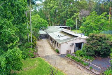 Farm Sold - NSW - Nabiac - 2312 - Lifestyle Retreat on 10 Acres – Close to Nabiac  (Image 2)