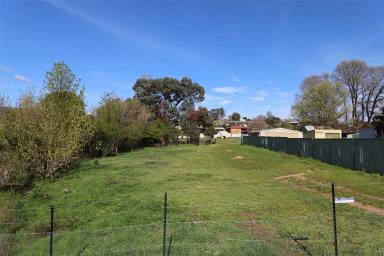 Farm Sold - NSW - Tumut - 2720 - Huge house block or develop  (Image 2)