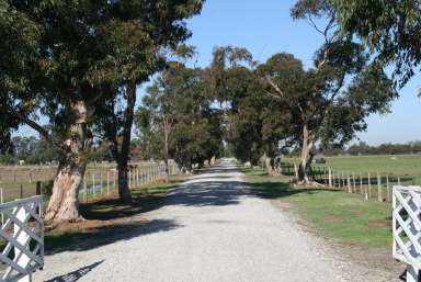 Farm Sold - VIC - Tongala - 3621 - Wirrawee Pastoral  (Image 2)