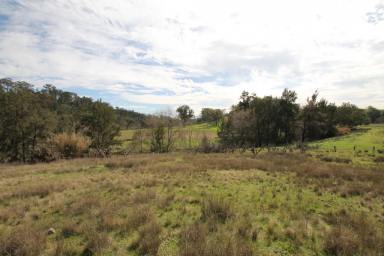 Farm Sold - NSW - Quirindi - 2343 - 9.9 ACRES, QUIET LOCATION & SPECTACULAR VIEWS  (Image 2)