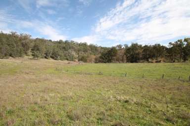 Farm Sold - NSW - Quirindi - 2343 - 9.9 ACRES, QUIET LOCATION & SPECTACULAR VIEWS  (Image 2)