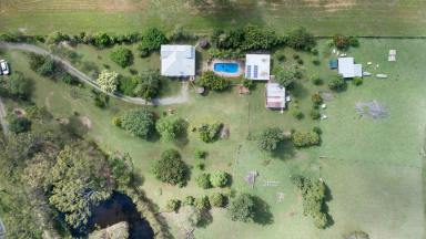 Farm Sold - QLD - Oakhurst - 4650 - Escape to the Country  (Image 2)