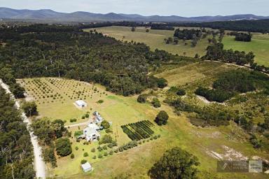 Farm Sold - VIC - Buchan South - 3885 - Sustainable Living Off the Grid - East Gippsland 82 Acres  (Image 2)
