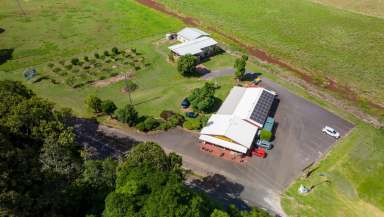 Farm For Sale - QLD - Tolga - 4882 - SPECIALTY GROCERY STORE ESTABLISHED IN 1969  (Image 2)