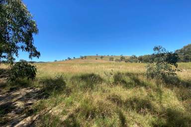 Farm Sold - NSW - Mudgee - 2850 - CREEK FRONTAGE 1 ACRE  (Image 2)