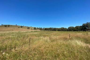 Farm Sold - NSW - Mudgee - 2850 - CREEK FRONTAGE 1 ACRE  (Image 2)