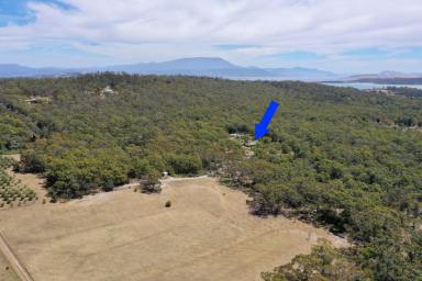 Farm Sold - TAS - Sandford - 7020 - Prepare to be impressed, packed with lifestyle!  (Image 2)