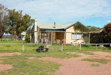 Farm Sold - NSW - Goulburn - 2580 - Equine And Stud Friendly  (Image 2)