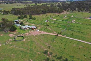 Farm Sold - NSW - Goulburn - 2580 - Equine And Stud Friendly  (Image 2)