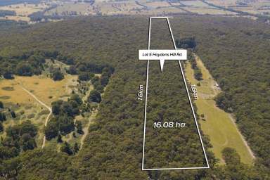 Farm Sold - VIC - Gordon - 3345 - Picturesque Bush Escape Close To Ballarat  (Image 2)