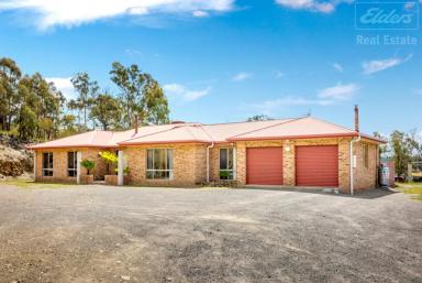 Farm Sold - NSW - Carwoola - 2620 - Rural Lifestyle Close to Town  (Image 2)