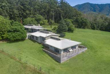 Farm Sold - NSW - Bonville - 2450 - Dual Living with Peace and Privacy in the Perfect Location  (Image 2)